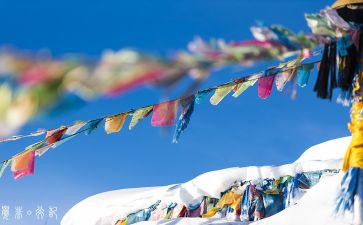 被看见为题的作文5篇