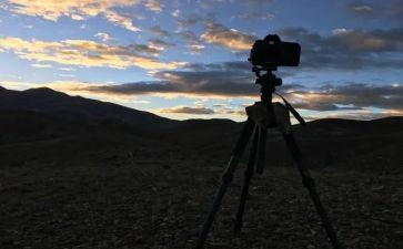 被看见作文600字参考7篇