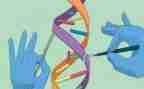 科学游戏活动教案7篇