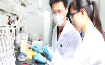 科研年终总结报告6篇