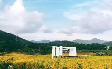 文化的苦旅读后感最新5篇