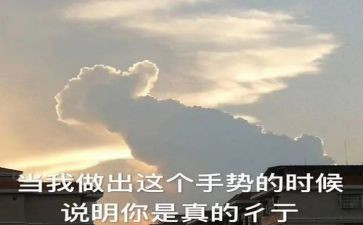 作文夸夸我自己400字5篇