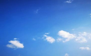飞向蓝天恐龙教学反思5篇