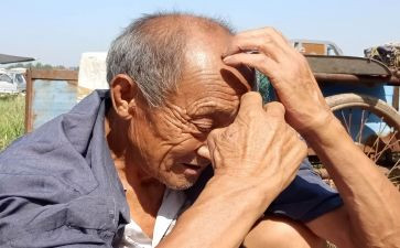 老人读后感推荐6篇