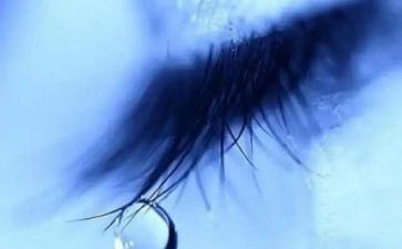 开心泪的作文精选7篇