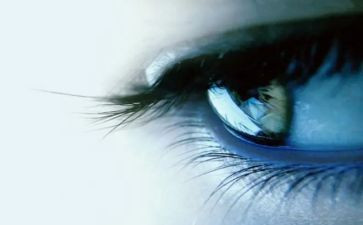 开心泪的作文模板5篇