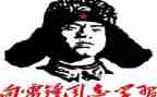 雷锋小活动方案8篇
