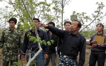 李保国事迹心得6篇