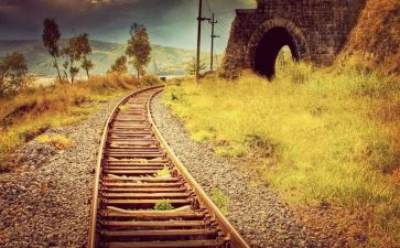 关于离别作文7篇