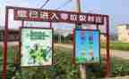 小区垃圾分类工作总结8篇