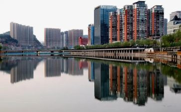 柳柳林风声读后感优质6篇