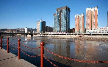 柳柳林风声读后感6篇