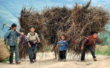 关爱留守活动方案5篇