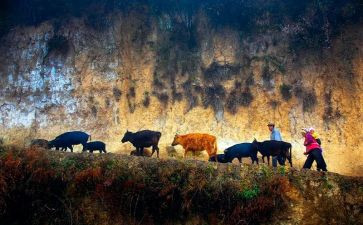 关爱留守儿童作文参考6篇