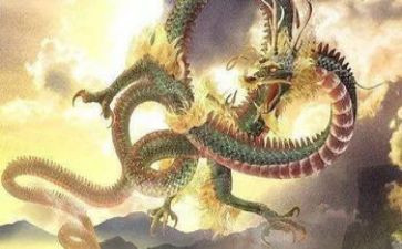 龙的调研报告8篇