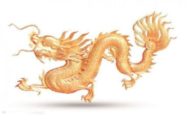 变色龙教案5篇