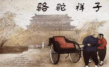 小骆驼教学反思推荐7篇