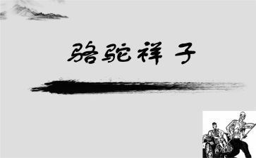 骆驼读后感600字5篇