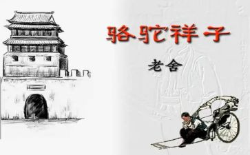 小骆驼教学反思5篇