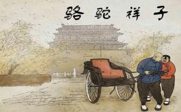 小骆驼教学反思优质7篇