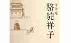 《骆驼》读后感推荐7篇