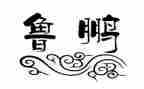 鲁鹏公司年终总结参考8篇
