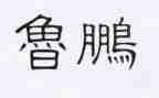 鲁鹏公司年终总结推荐5篇
