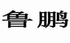 鲁鹏公司年终总结通用5篇