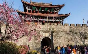 旅游类年终总结7篇