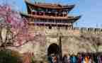旅游系学生专业实习报告8篇