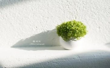 关于慢的话题作文优质7篇