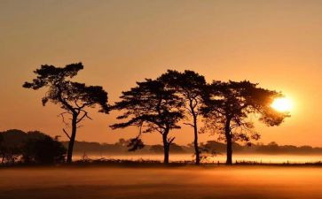 成长类作文中考满分作文模板6篇