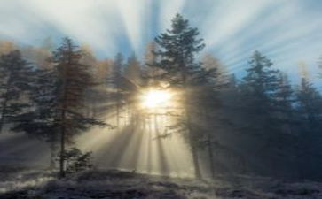 中考写老师的满分作文7篇