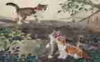 猫英语小作文优秀6篇