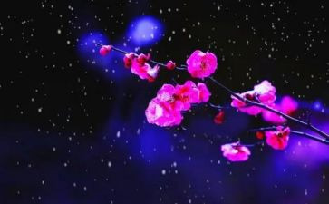 幼儿园画梅花教案7篇