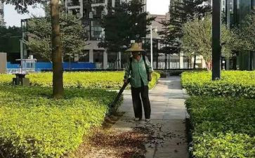 美化校园活动的总结5篇