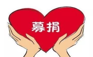 募捐活动总结8篇
