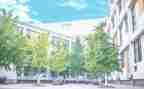 感恩初中母校作文模板7篇