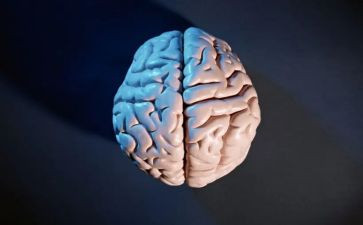 上电脑课心得8篇