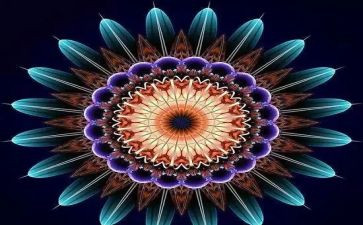 以正能量的作文800字5篇