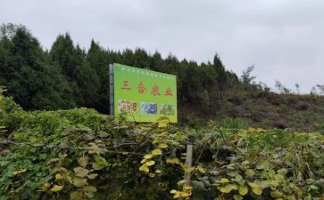 农产品收购合同精选6篇