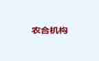 农合科年终总结5篇