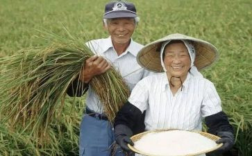 农民劳务合同5篇