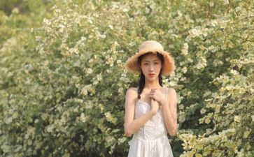 学生会女生部工作总结8篇