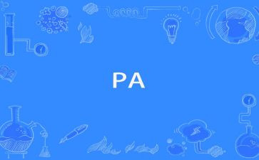 酒店pa2024年终总结优秀7篇