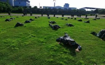 前进的动力作文5篇