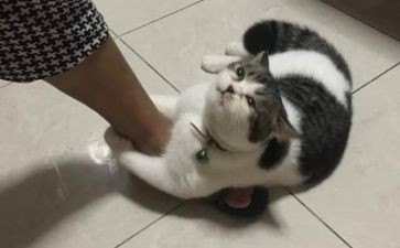 期待的演讲稿6篇