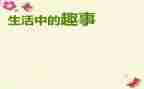 假日趣事作文400字8篇
