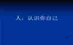 认识实习的实习报告优质8篇