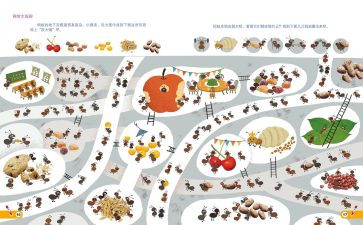 社会认知实践报告6篇